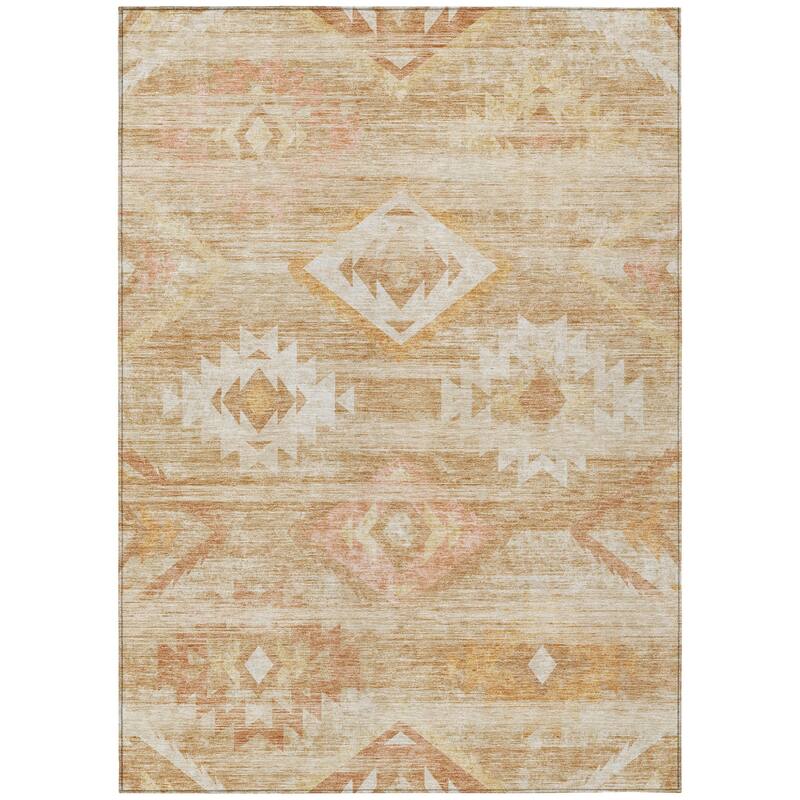 HomeRoots Southwestern Transitional Rectangle Outdoor Rug