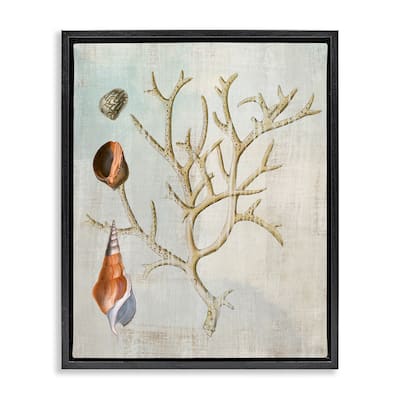 Stupell Seashells and Coral Branch Framed Floater Canvas Wall Art Design By Susan Arnot