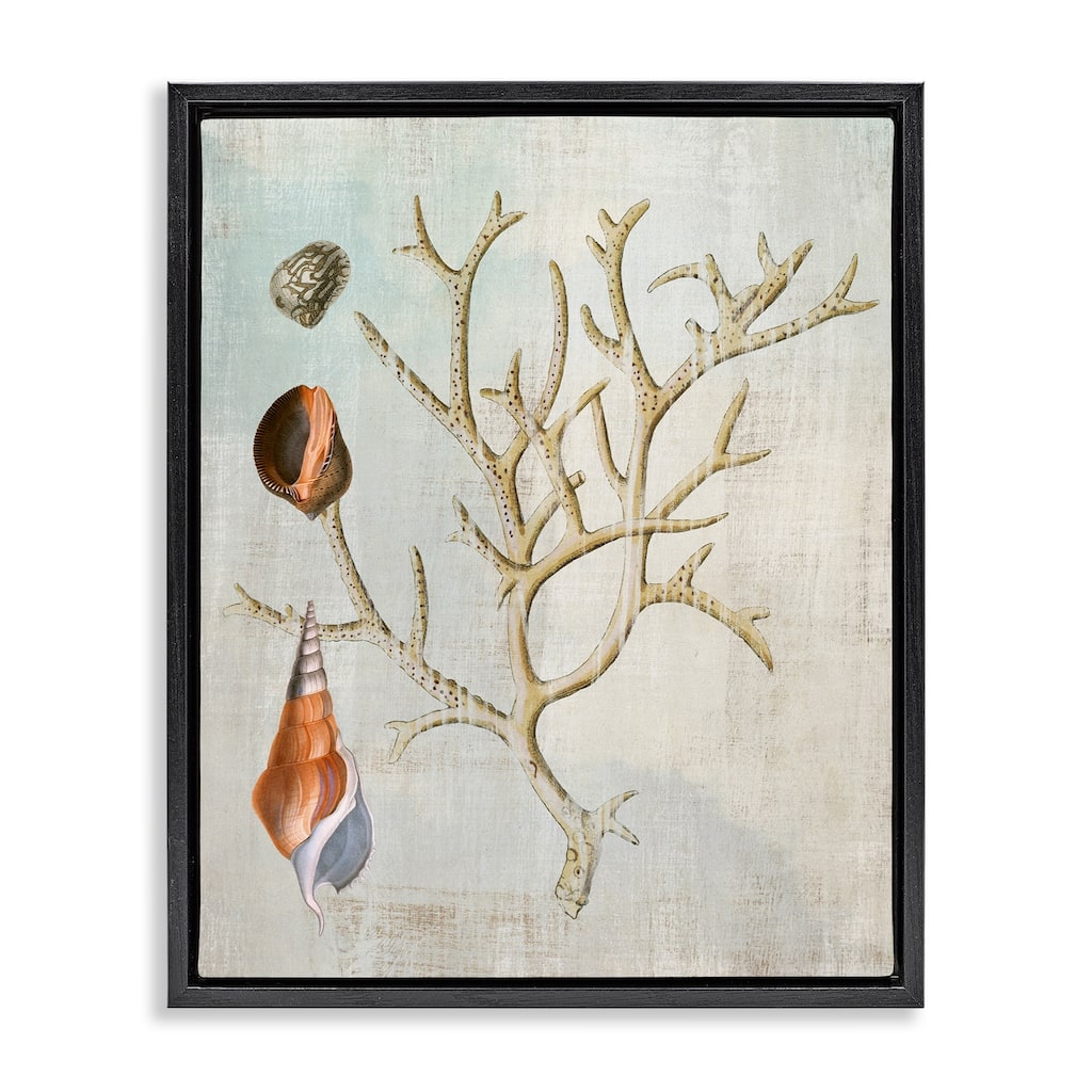 Stupell Seashells and Coral Branch Framed Floater Canvas Wall Art Design By Susan Arnot