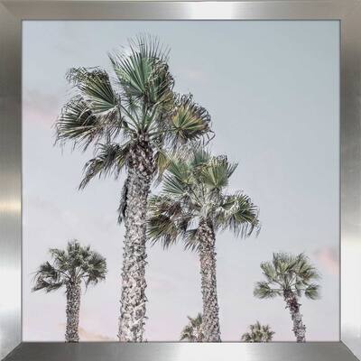 "Palm Up II" by Natalie Carpentieri Print on Acrylic