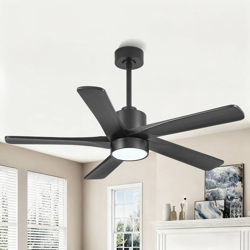 WINGBO 54" and 64" 5 ABS Blades DC Motor Indoor Ceiling Fan with Light & Remote - 48inch - Black