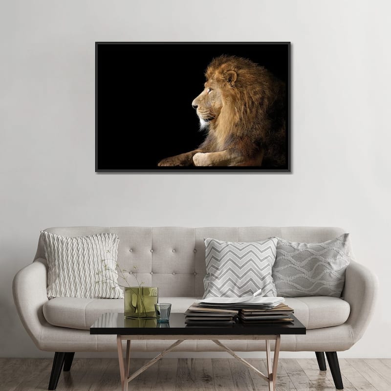 iCanvas "African Male Lion On Black" by Adrian Vieriu Framed