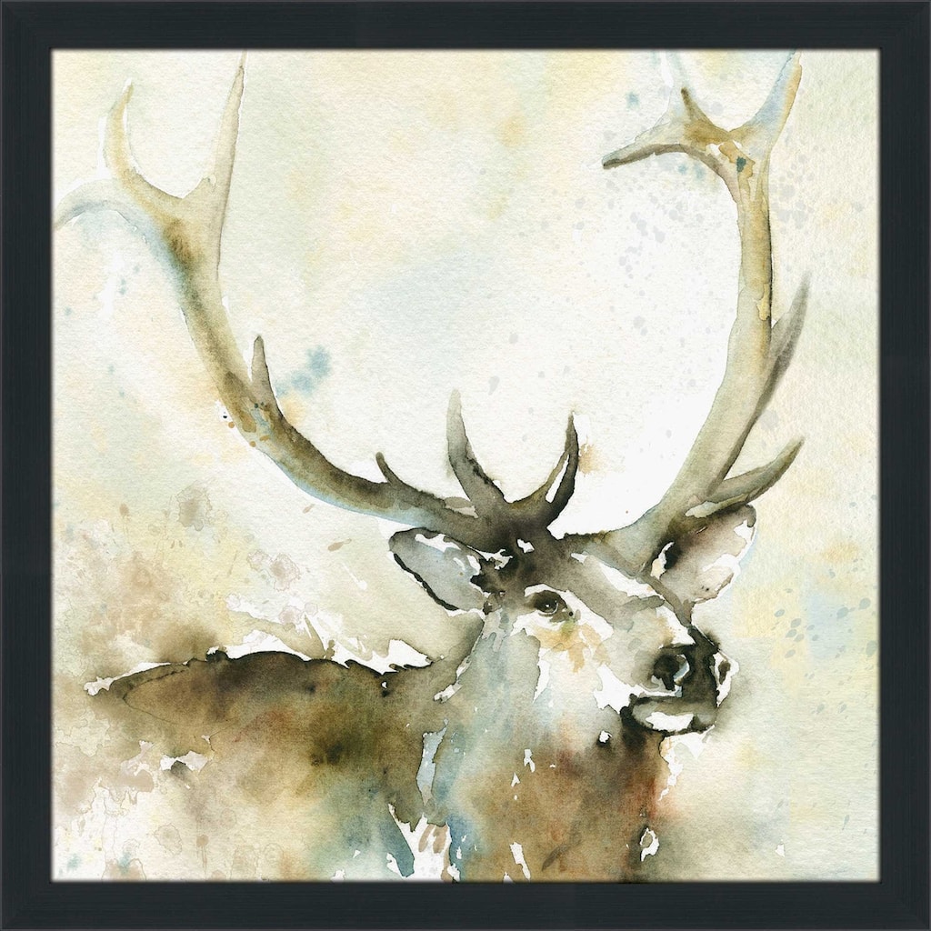 "Emerging from the Mist" by Carol Robinson Print on Acrylic.