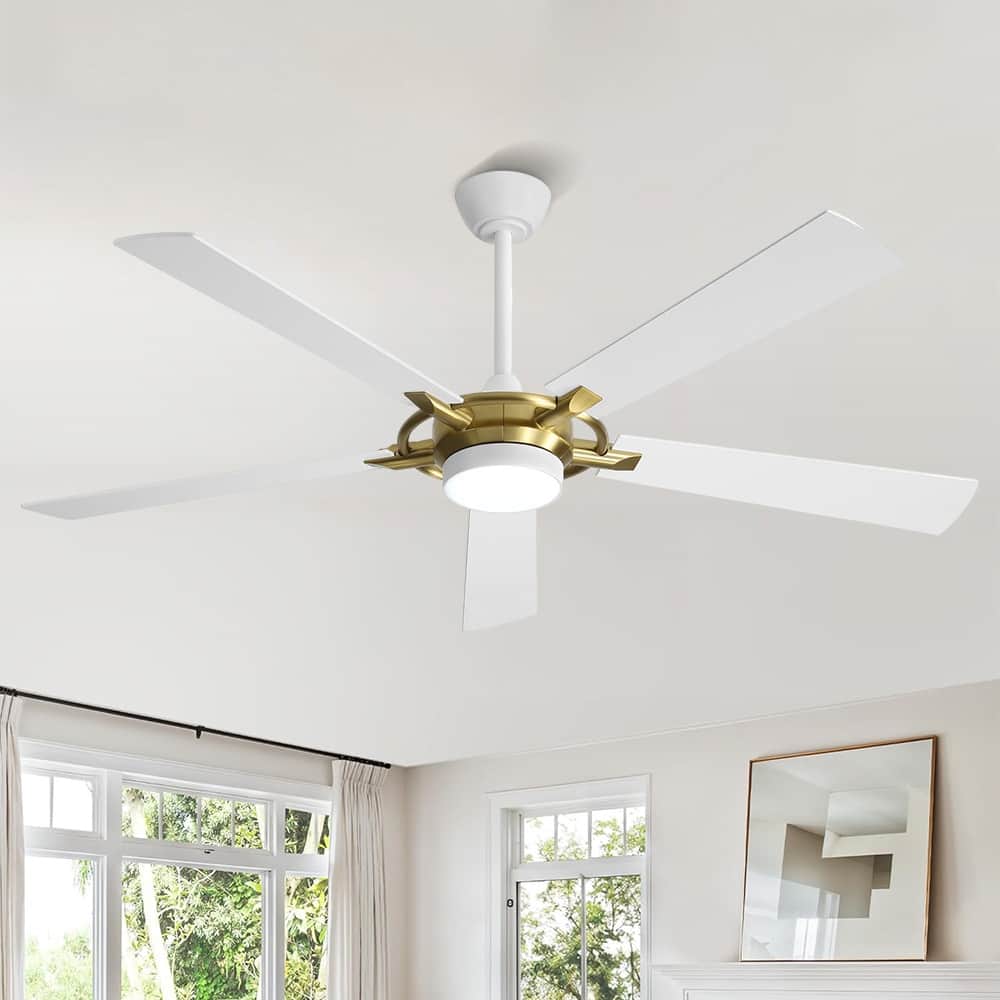 MLiAN 60 In. 5-Plywood Blades Indoor Ceiling Fan with Light Kit and Remote