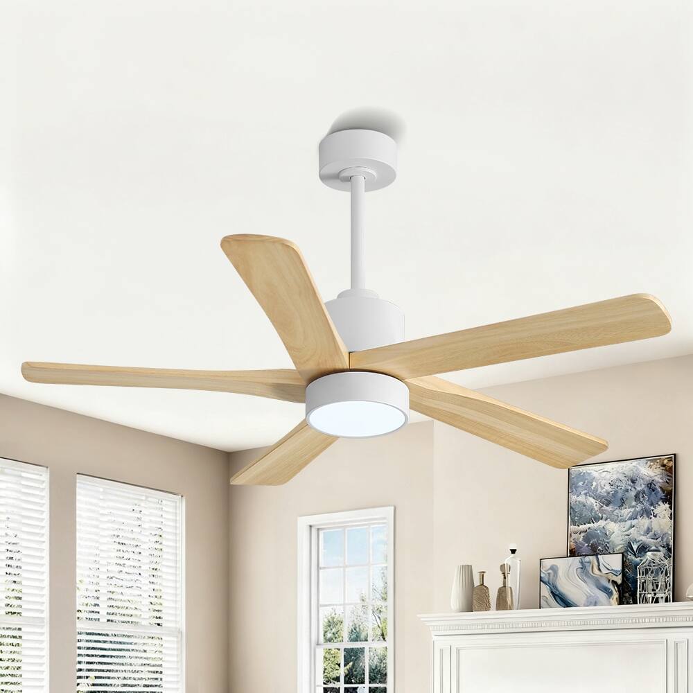 WINGBO 54" and 64" 5 ABS Blades DC Motor Indoor Ceiling Fan with Light & Remote