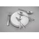 preview thumbnail 1 of 3, Cambridge Rhiannon Mirror 45-Piece Flatware Set