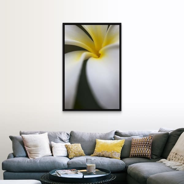 Shop Singapore Frangipani Black Float Frame Canvas Art