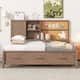 Option Taupe