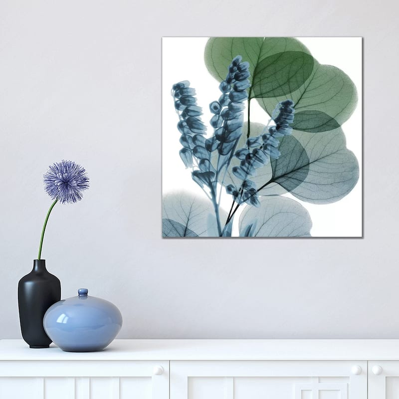 iCanvas "Lilly Of Eucalyptus I" by Albert Koetsier Canvas Print - 18x18x1.5