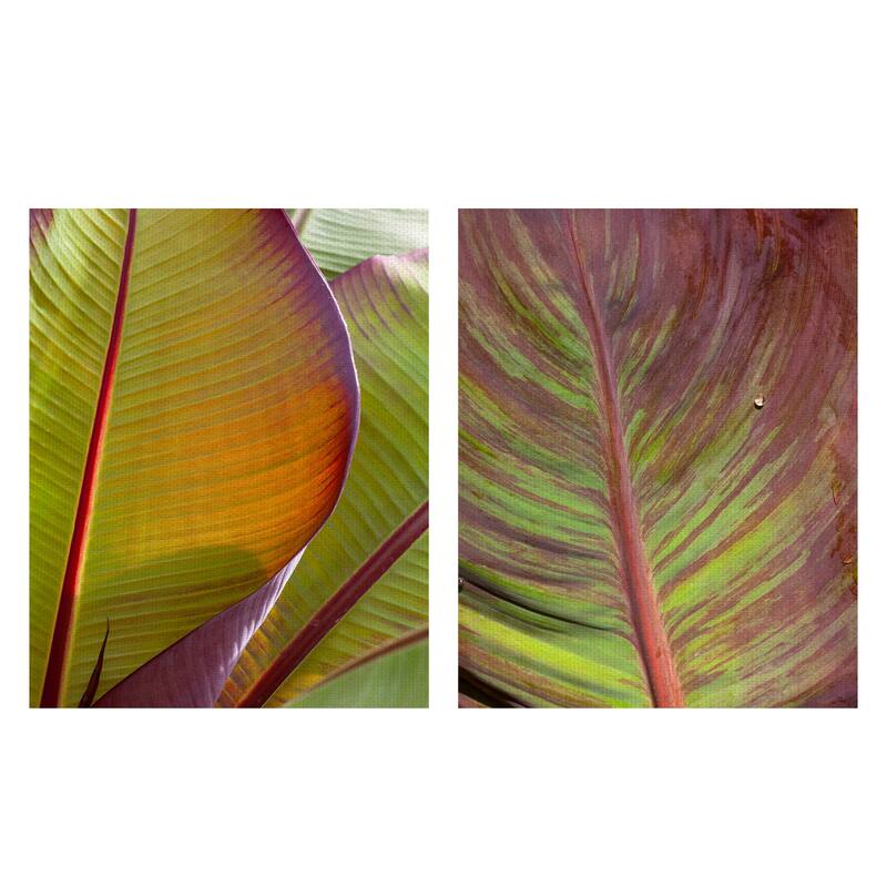 Fall Leaf Study II, IV by Robin Constable Hanson Canvas Art Prints