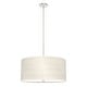preview thumbnail 2 of 9, Hunter Solhaven Drum Pendant Light
