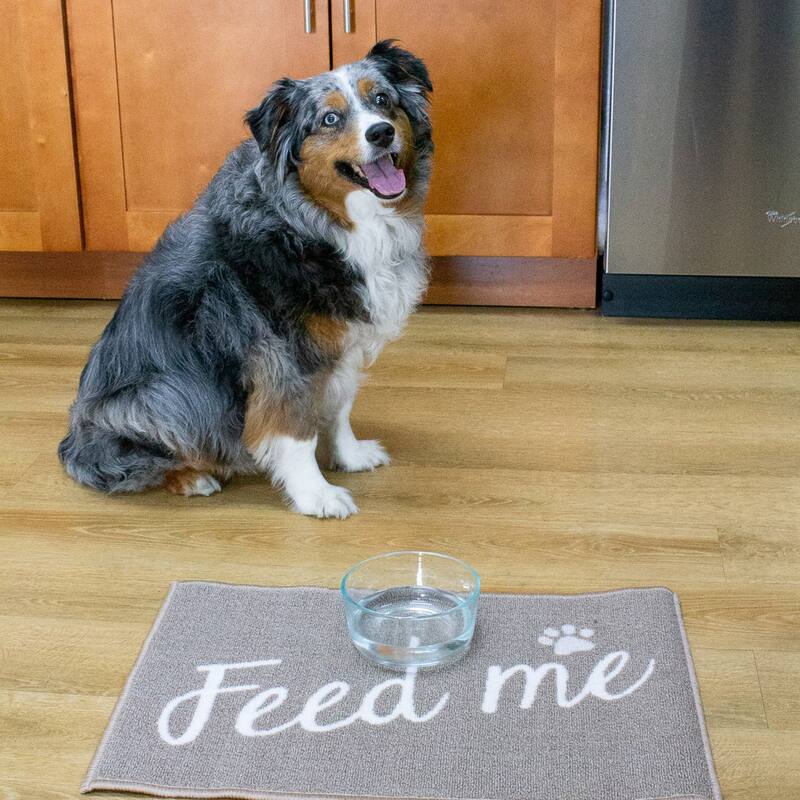 Perro & Gato Lost Marbles Pet Mat - 16x24