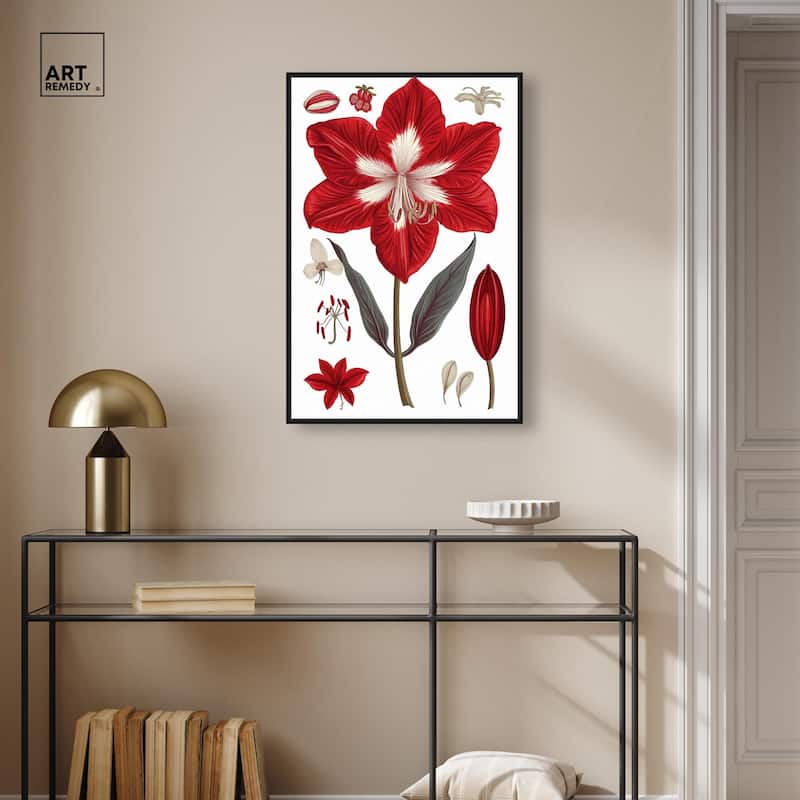 Amaryllis Anatomy Canvas by Art Remedy