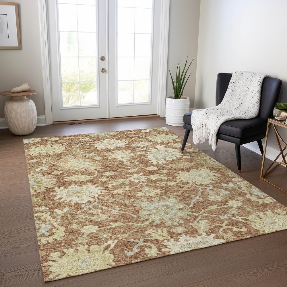 Machine Washable Indoor/ Outdoor Traditional Casual Chantille Rug