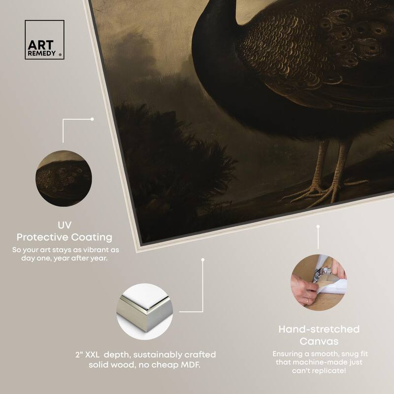 Peacock in Monotone Canvas by Art Remedy