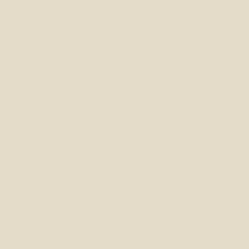 Sorra Home Ivory 20 x 2.5-inch Chair Cushion - Bristol (Set of 2)