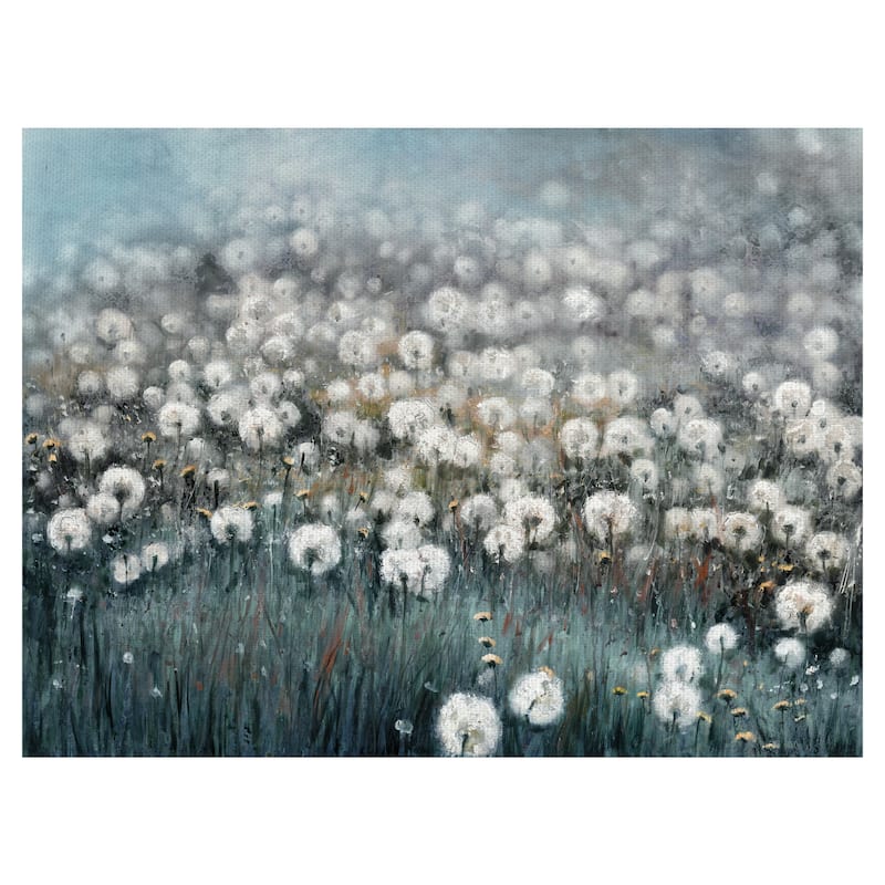 Field of Dreams by Sandy Doonan Canvas Art Print