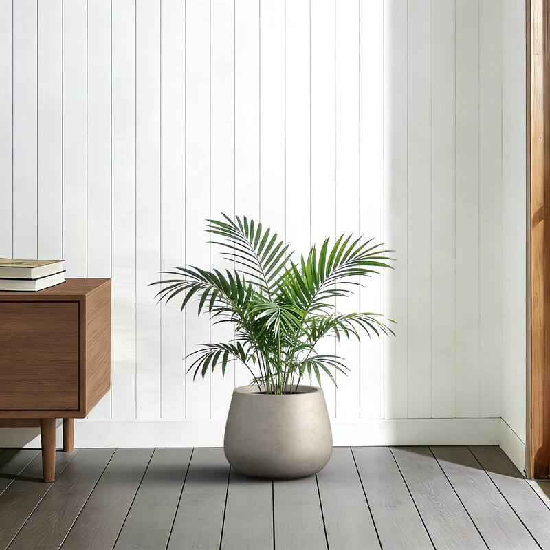 Concrete Round Planter with Drainage Holes for Indoor & Outdoor