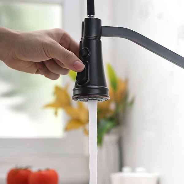 Single Handle Pull Down Sprayer Oil Rubbed Bronze Kitchen ...