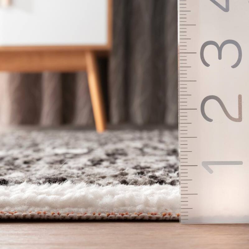Nuloom Transitional Vintage Lavish Mayen Medallion Area Rug