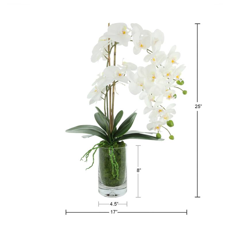 Orchids Arranged in Glass Vase with Moss - 25