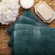 Marche Egyptian Cotton 4 Piece Hand Towel Set by Miranda Haus