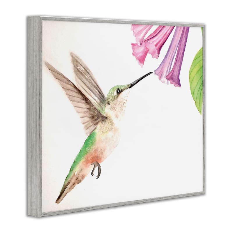 Stupell Hummingbird & Bluebell Flower Framed Giclee Art Design By Stephanie Fielden