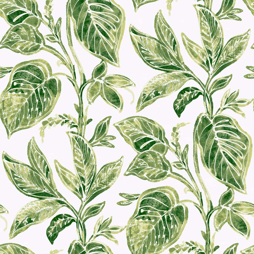 NuWallpaper Green Caryota Peel & Stick Wallpaper - 216 x 20.5 x 0.025