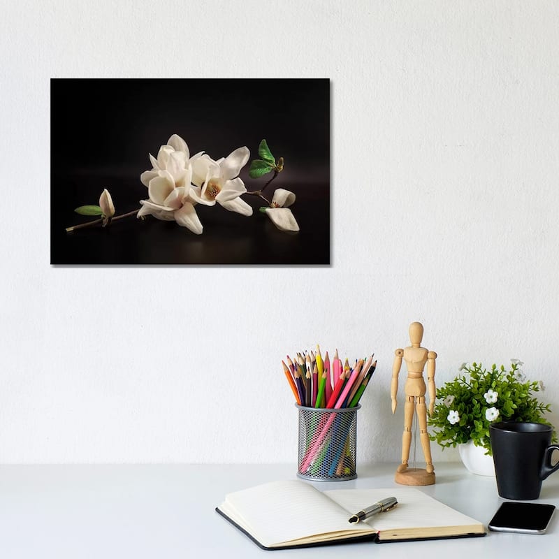 iCanvas "Magnolia" by Tony08 Canvas Print - 8x12x0.75