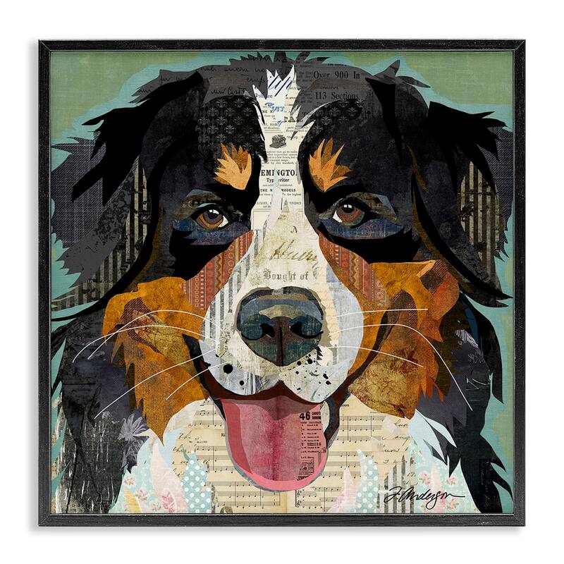 Stupell Bernese Mountain Dog Portrait Layered Ephemera Collage Framed Wall Art, Design by Traci Anderson - 24 x 24 - Grey