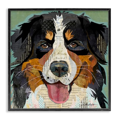 Stupell Bernese Mountain Dog Portrait Layered Ephemera Collage Framed Wall Art, Design by Traci Anderson