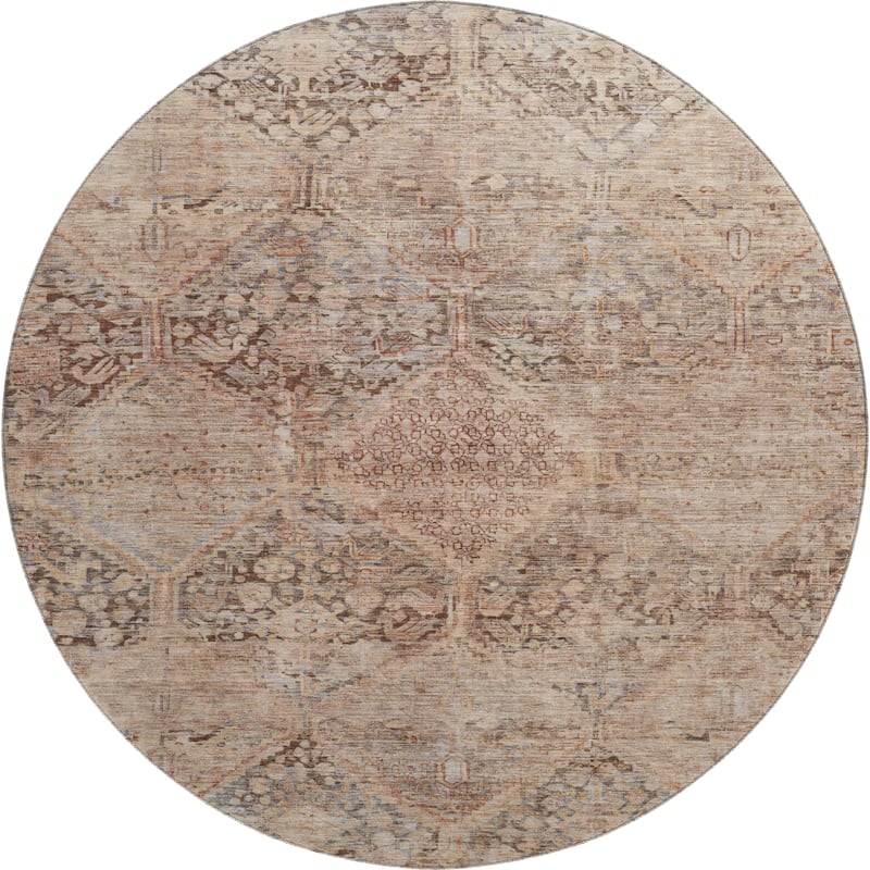 Premium Washable Super Soft Vintage Traditional Mayfield Rug