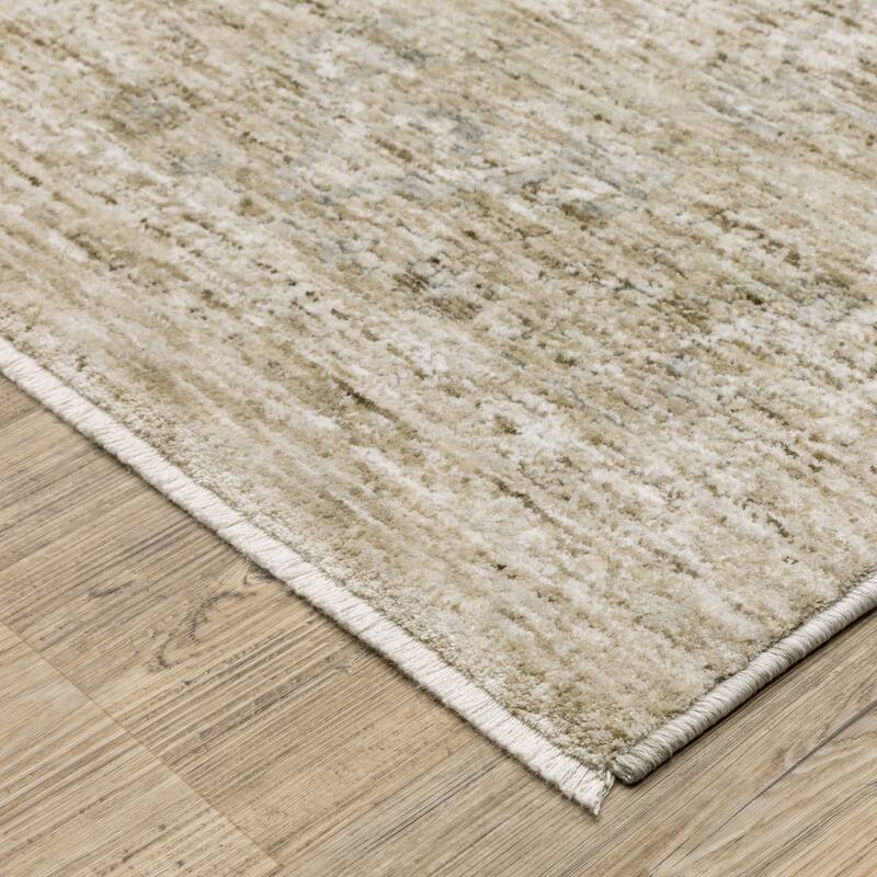 Amira Distressed Traditional Beige/ Grey Area Rug-