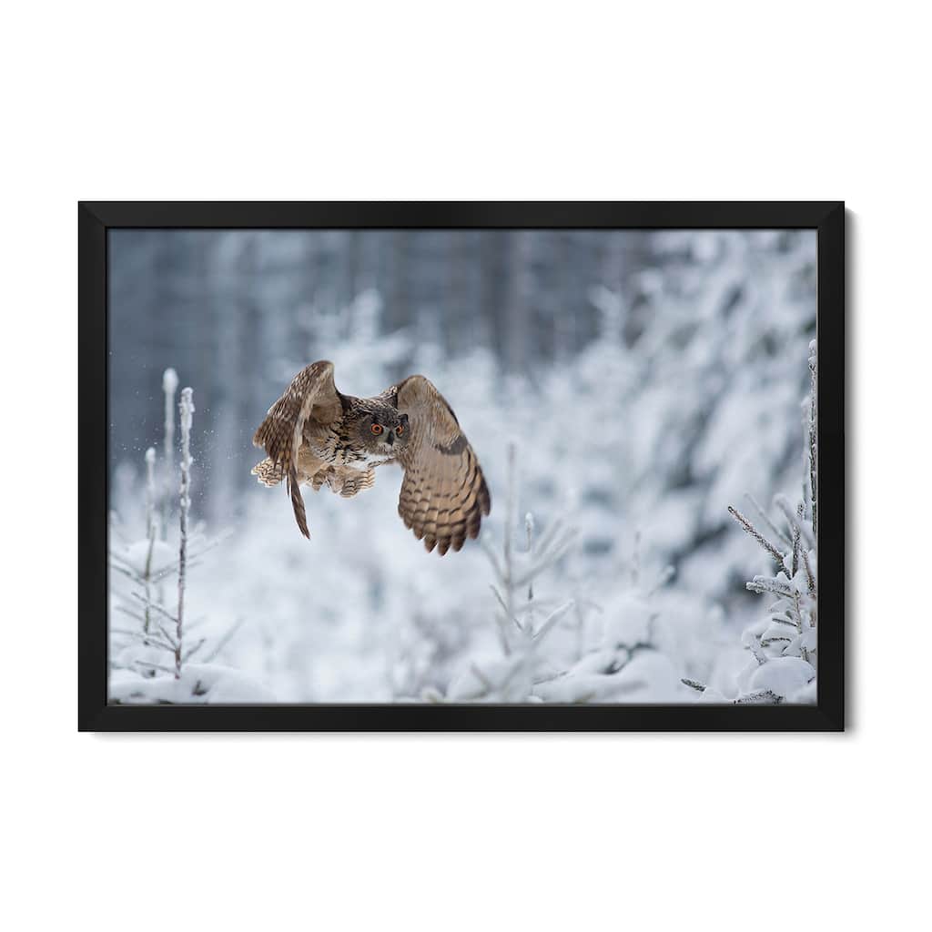 Eurasian Eagle-Owl Premium Framed Poster by Milan Zygmunt