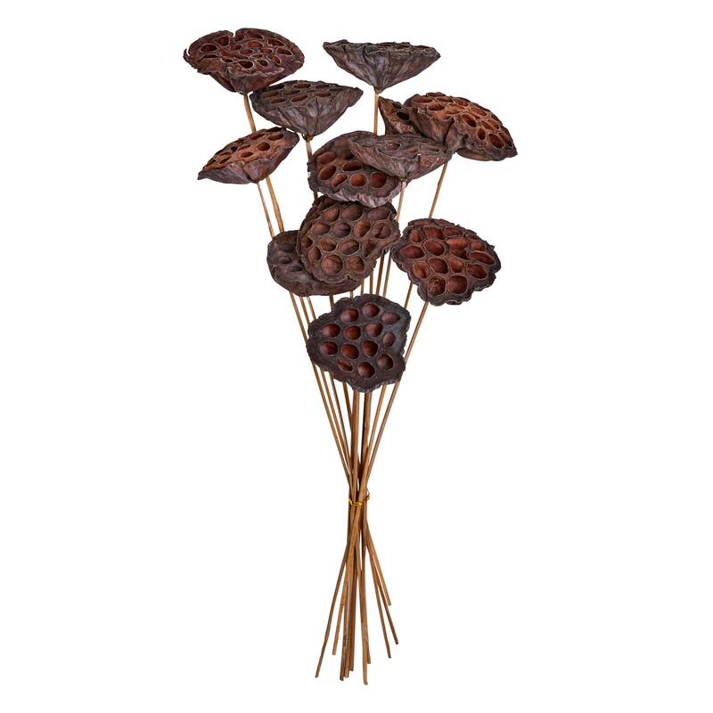 Large Lotus Pod on 6" Pick - 8