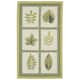 Option Ivory
