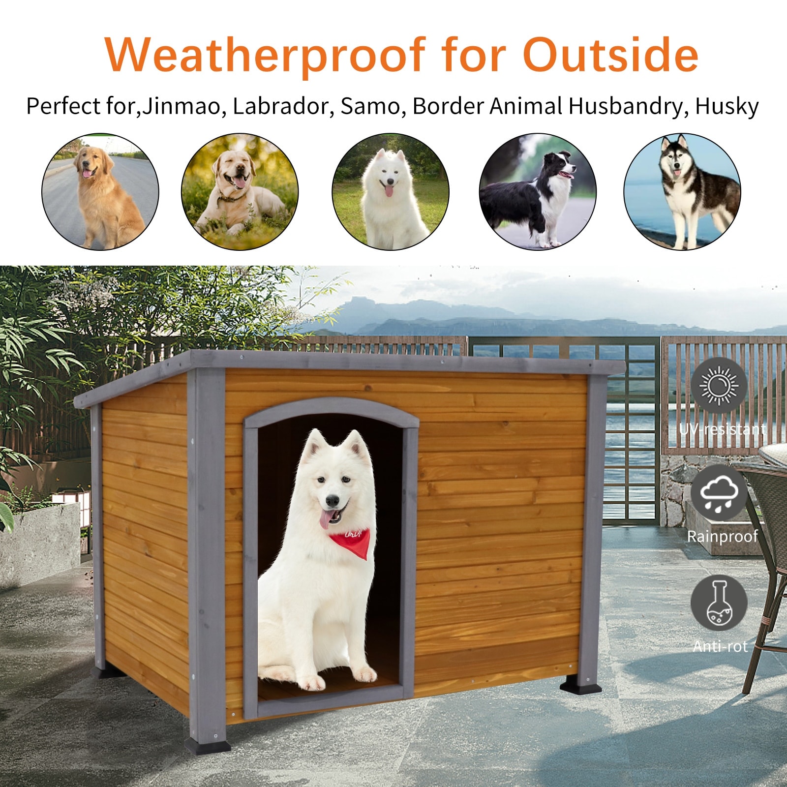 Wooden Dog Precision Pet Products Outback Dog House Door Petsfit