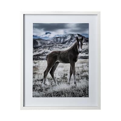 Horse 3 Framed Art Print