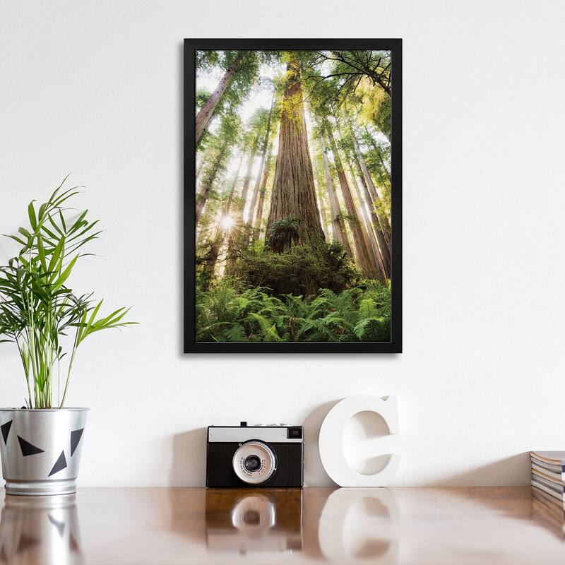 Redwood Forest Premium Framed Poster by Stefan Hefele