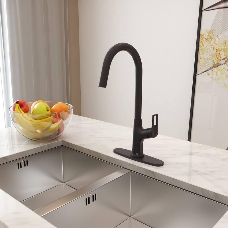 Kitchen Sink Faucet Single-Handle Pull-Out Sprayer Kitchen Faucet - Matte Black