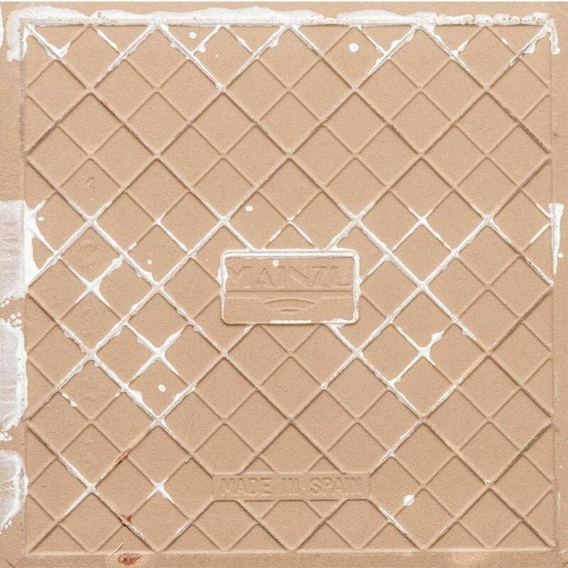 The Tile Life Phlox 8x8 Terracotta Porcelain Floor & Wall Tile