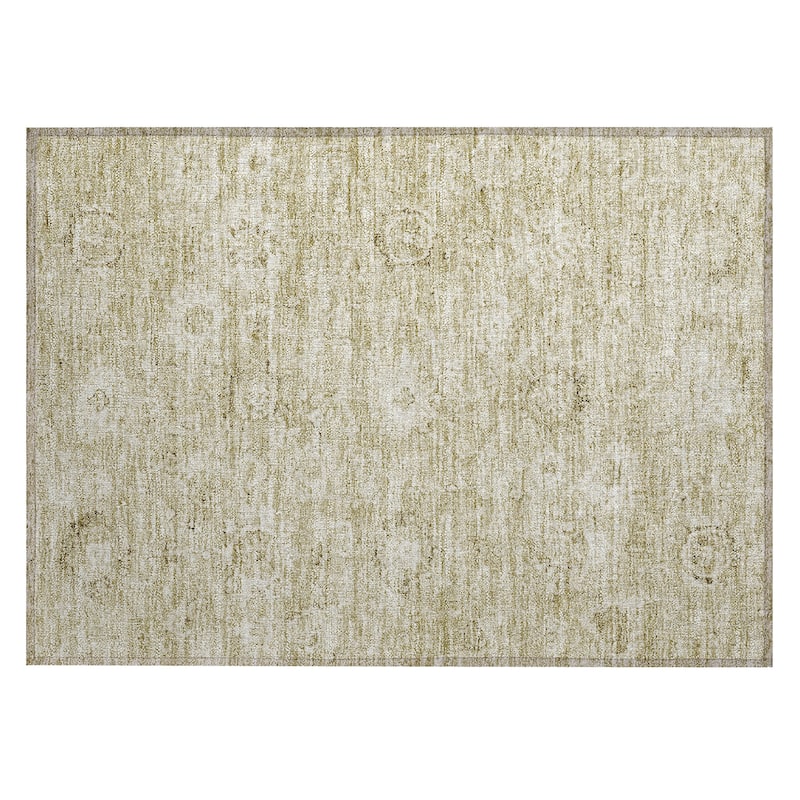 Machine Washable Indoor/ Outdoor Vintage Traditional Chantille Rug