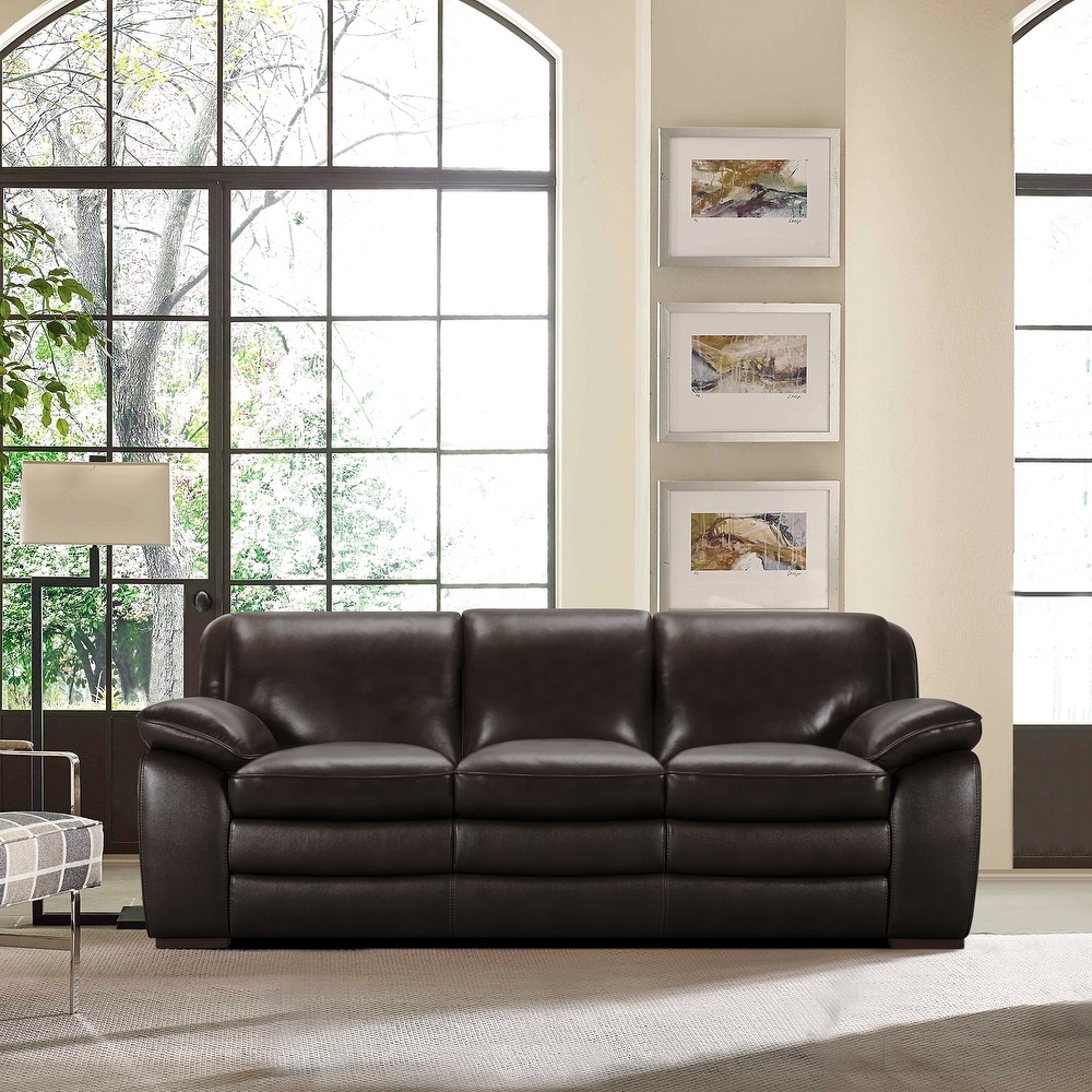 https://ak1.ostkcdn.com/images/products/is/images/direct/2890475cafacebeeb255fb53ce6d5e9f235ea0dc/Armen-Living-Zanna-Contemporary-Sofa-in-Genuine-Dark-Brown-Leather.jpg