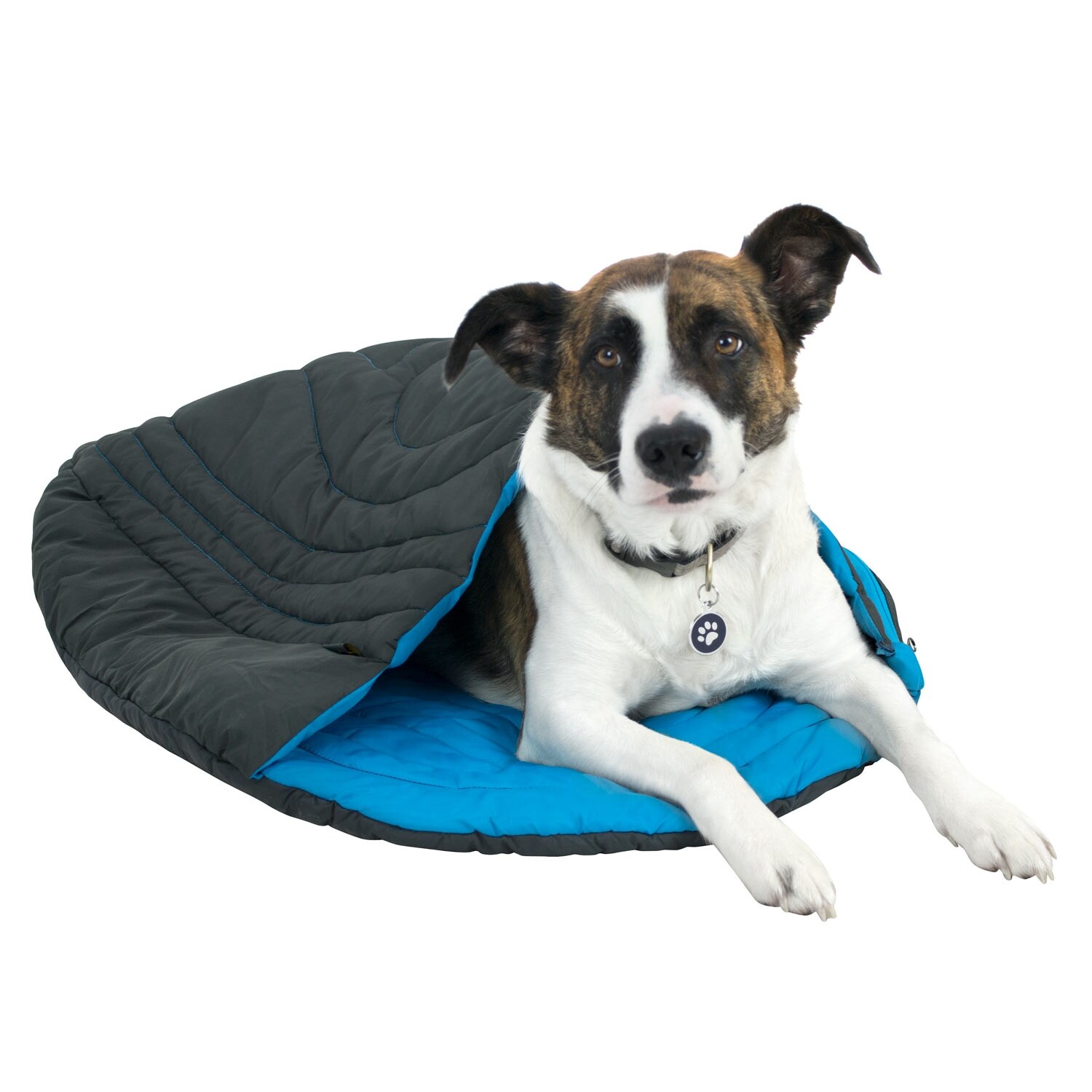 sleeping bag for dogs camping