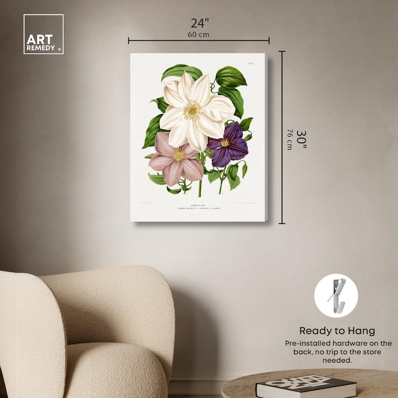 Clematis Canvas by Art Remedy, Gallery Wrapped