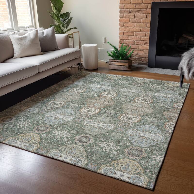 Machine Washable Indoor/ Outdoor Traditional Tracey Chantille Rug