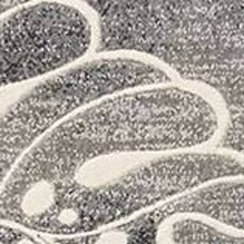 Juxeq Power Loomed Abstract Floral Traditional Modern Non Skid Stain Resistant Area Rug By HomeRoots - 90' X '26' X '0.5