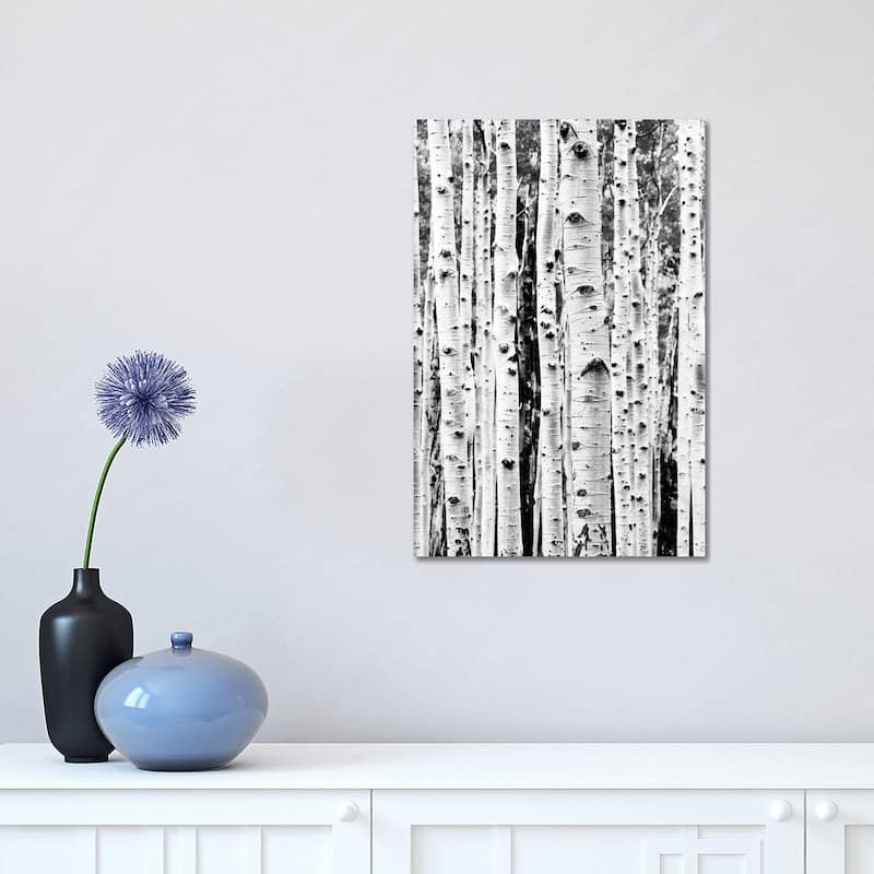iCanvas "Birch In Black & White" by Sisi & Seb Canvas Print - 18x12x1.5