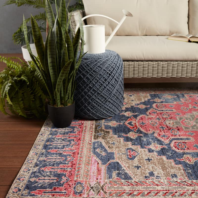 Cicero Indoor and Outdoor Medallion Area Rug