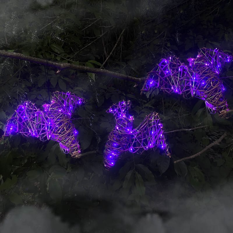 Haunted Hill Farm Set of 3 Battery-Operated Rattan Bats with Hanging Loops, Purple Lights, and Timer
